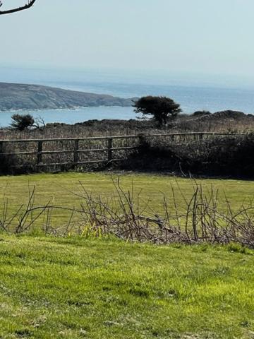 The Little Garden Hideaway With Stunning Sea Views And Garden Acomodação com café da manhã Holyhead Exterior foto